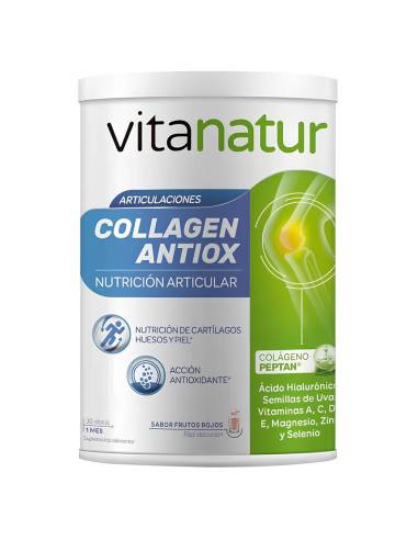 VITANATUR COLLAGEN ANTIOX 360 G